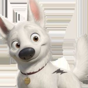 Meet your Posher, Oliver